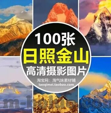 伦理网-伦理网，编织社会道德的经纬