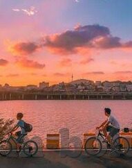 麻豆2.0app-追寻新潮流，麻豆2.0APP的使用体验与展望