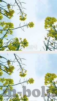 麻豆传媒破解-麻豆传媒，公众娱乐与职业道德的平衡探讨