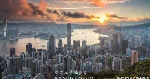 麻豆一区视频在线-麻豆一区之数字化浪潮下的网络奇景