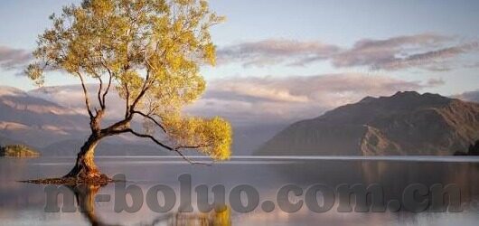 人妻类小说-探寻情感深处的温柔港湾，人妻类小说的细腻世界