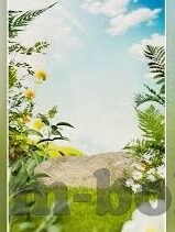 糖心app下载安装-糖心APP下载与安装，揭秘生活的新奇体验