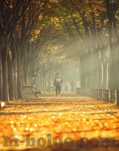 糖心app怎么进不去了-糖心app无法访问之谜，探究缘由与个人心得