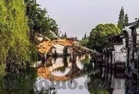 右左网糖心官网-右左网糖心世界的奇妙之旅