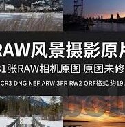 在线播放麻豆av-网络平台的两难间，在线过多流媒体内容的审慎