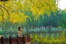 中文字幕久荜在线-探索中文字幕在久荜在线平台上的文化传播与价值